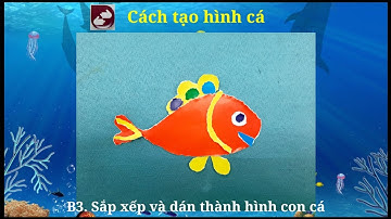 Bài 9: Những chú cá đáng yêu - Lớp 1( Vì sự bình đẳng)