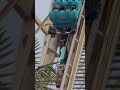 🎢Second lift d'un boomerang chute pour libérer le train !