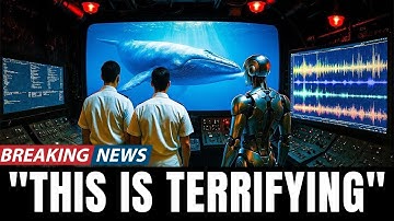 Scientists Just Decoded Language of the Whales Using AI, And It