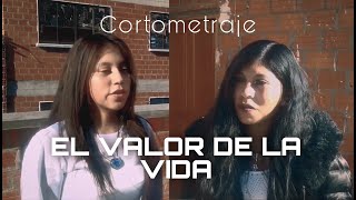 EL VALOR DE LA VIDA (Cortometraje de taller de TV)