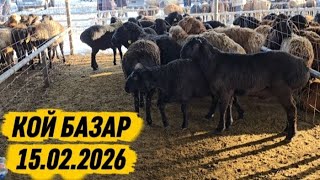 ​Бүгінгі базар: Қой-қозы құны (Тараз қаласы)