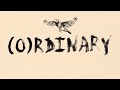 Avenged sevenfold  ordinary official visualizer