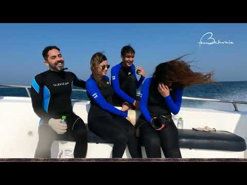 استمتع بتجربة الحياة على جزيرة على شواطئ البحرين