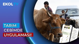 Tarım Cebimde Uygulaması! Kurban Bayramı Hazırlıkları...