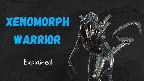 Xenomorph Warrior - Explained (Alien Lore)