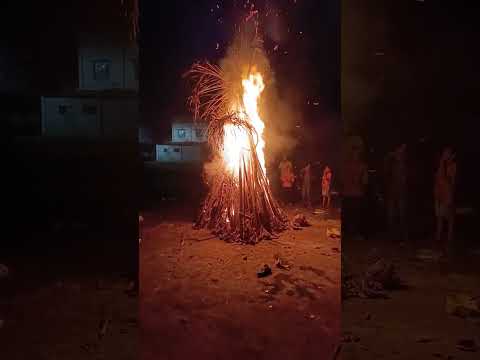 Holika dahan 2024