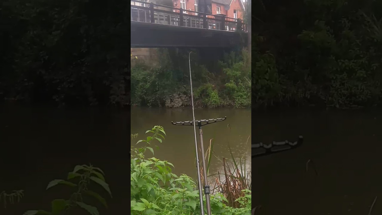 Quiver tip fishing for perch 