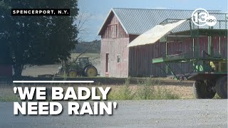 Burn ban issued in New York amid drought-like conditions