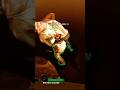 Left 4 Dead 2 Jockey instant kill