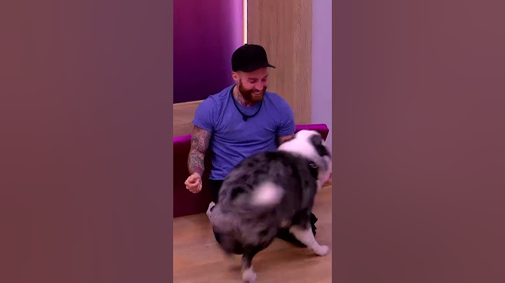 La presencia de Bruno calmó LA TENSI´ÓN en La casa de los famosos