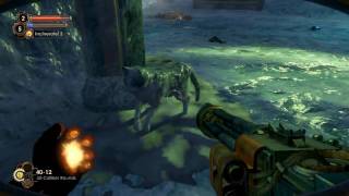 Bioshock 2: Easter Egg - Schrödingers cat