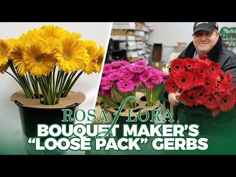JFTV: Rose Flora - Bouquet Maker's "Loose Pack" Gerbera Daisies with Mike