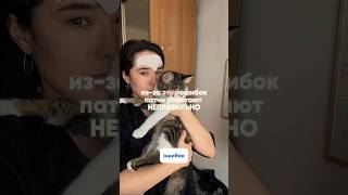 Из-за этих ошибок твои патчи работают неправильно Арт wb: #451649518ozon: #2371146420