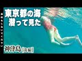 【初体験】東京の海ではじめてのシュノーケリングしてみた👙...神津島【番外編】~海~