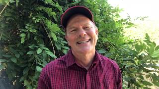 Transformational Mind Renewal Course