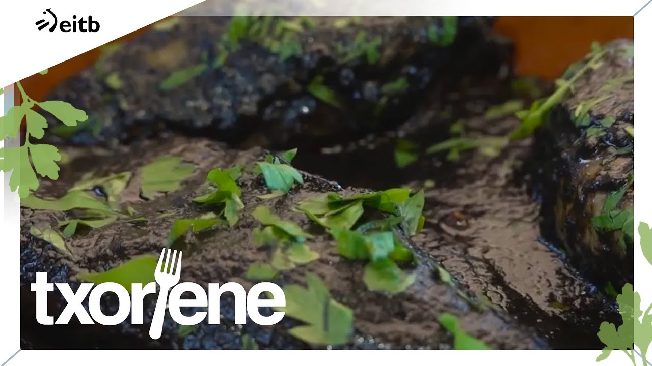 TXORIENE: Txipiroiak tintan