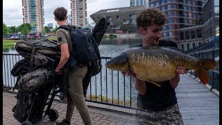 CARP FISHING IN LONDON - Big carp on the docks