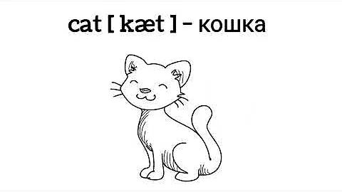 Как читается буква C в английском алфавите. Английские буквы.