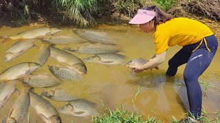 Use the pump to suck water out of the deep pool, catch many big and delicious fish.