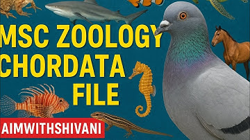 Msc zoology chordata practical file #chordata #chordates #practical #msc #zoology @Aimwithshivani