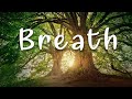 Best Music for Meditation Mindfulness