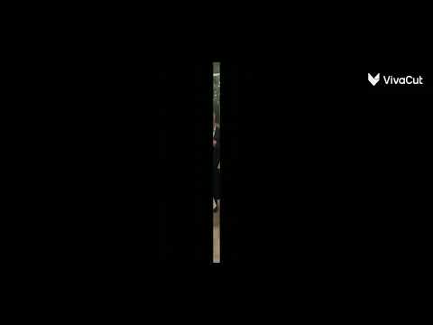 عشائر آل وادي بيت كليب