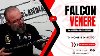 FALCON VENERE BOLO - DI NOME E DI FATTO