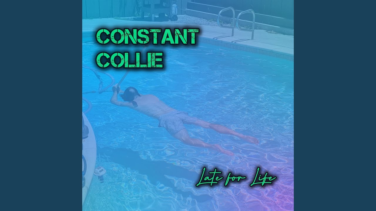 Watch Constant Collie on YouTube Watch Constant Collie on YouTube