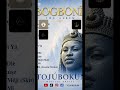 The rebranding of Tojúbokùn and launch for Gbogbonise album(Replay)