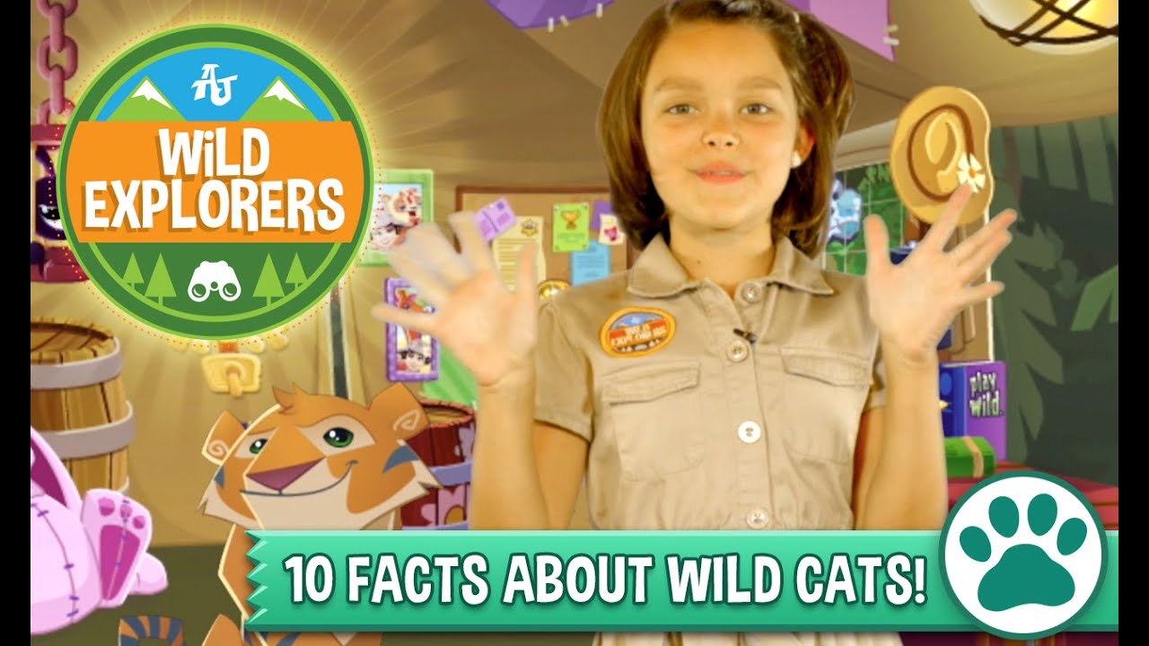 Wild Explorers - 10 Facts About Wild Cats!