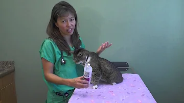 How much Feliway is too much?