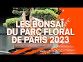 Les bonsa du parc floral de paris 2023