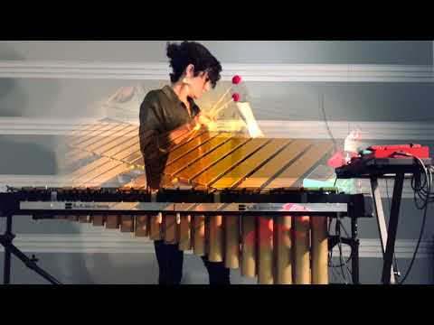 Opening by Phillip Glass (Electric Vibraphone)