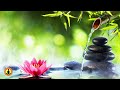 🔴 Zen Healing Music 24/7, Relaxing Music, Meditation Music, Spa Music, Sleep, Zen, Flowing River