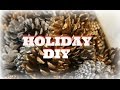 HOLIDAY DIY - Festive Pinecones - TrinaDuhra