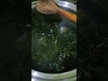 sopa de verduras para la sanación de todo