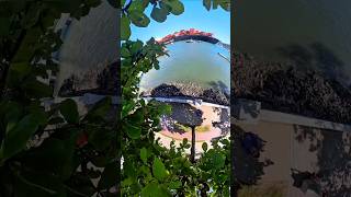 Navio de Carga Hapag Loyd Santos  insta 360 X4 @navios2025 container #insta360  X4 #shorts