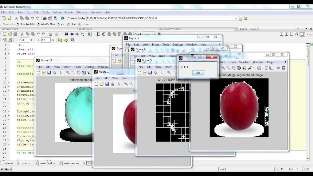 Fruit recognition using matlab code