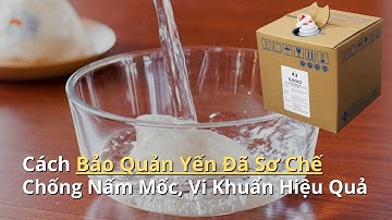 Cách Bảo Quản Yến Đã Sơ Chế, Chống Nấm Mốc, Vi Khuẩn Hiệu Quả 😍😍😍