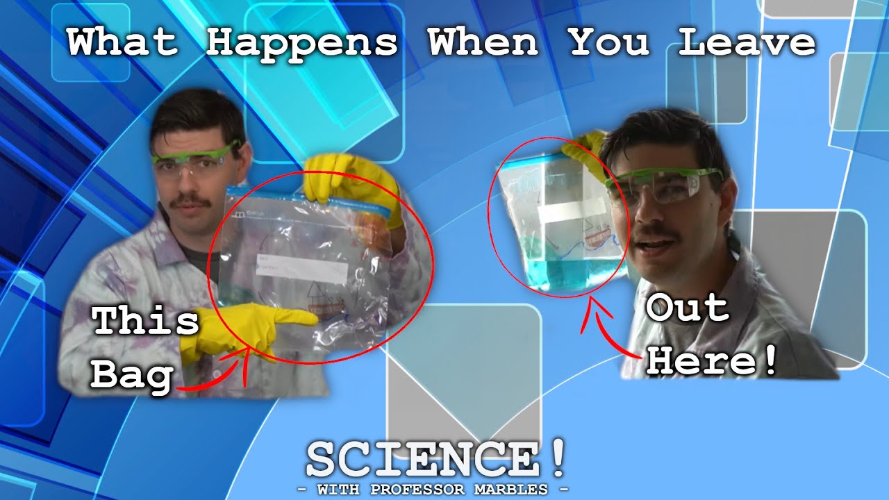 What Happens When You Put Water In A Bag And Leave It Outside?