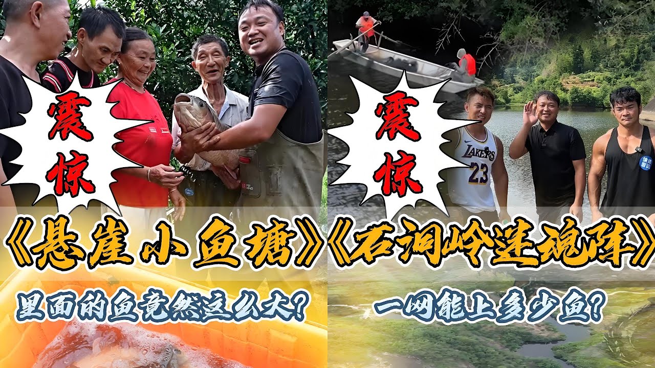 花2800元盘一口小鱼塘，没想到里面的鱼简直逆天了竟然这么大？｜李维刚斥巨资包下深山里的石洞岭老塘，在里面布下迷魂阵，看看一网能上多少鱼