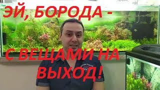 Аквариумы без бороды.  Вторая точка над Ё. Комментарии и ответы.