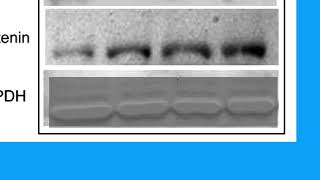 874B4781506660836A26D065E32BBD#1