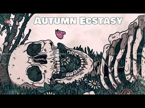 Autumn Ecstasy | Instrumental | Ankur Bhattacharjee | International World Music Day 2025 | RoohMusic
