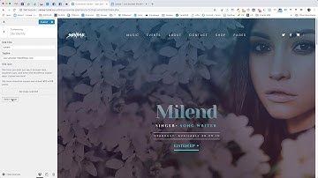 Changing the Favicon | Sonaar WordPress Themes | Video Tutorials