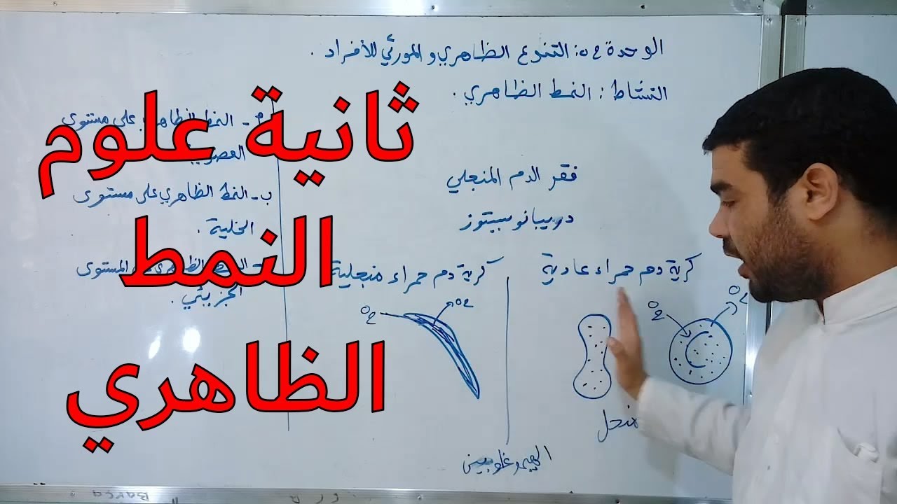 النمط الظاهري [الحصة 34]