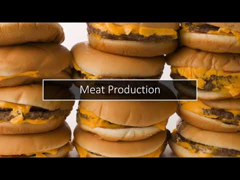 Effects the Fast Food Industry has on Human Health and the Environment