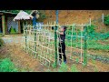 Make a trellis to grow fresh vegetables and keep the house tidy  agricultural production process