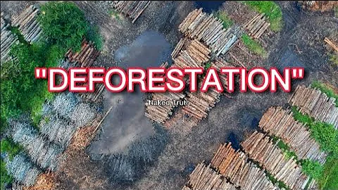 Understanding Deforestation: Causes, Dangers, and Consequences