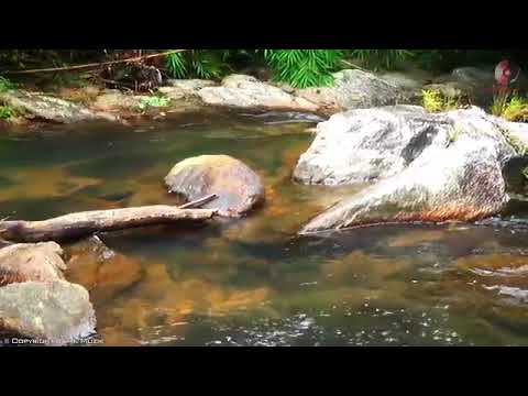 Morning Cafe Music Wake Up Happy With Positive Energy Beautiful Spanish